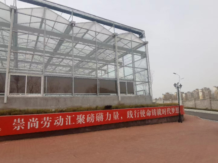 行走5(1).png